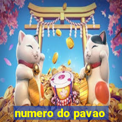 numero do pavao